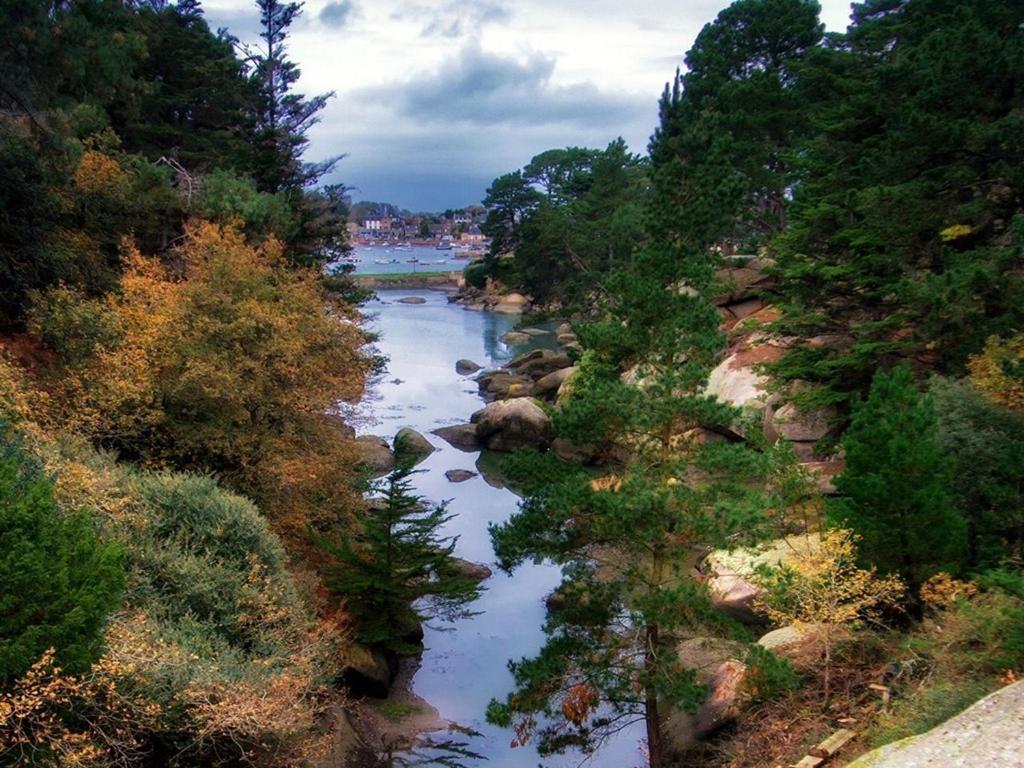 شقة La Presqu' Ile Du Lenn Face A La Mer Louannec الغرفة الصورة